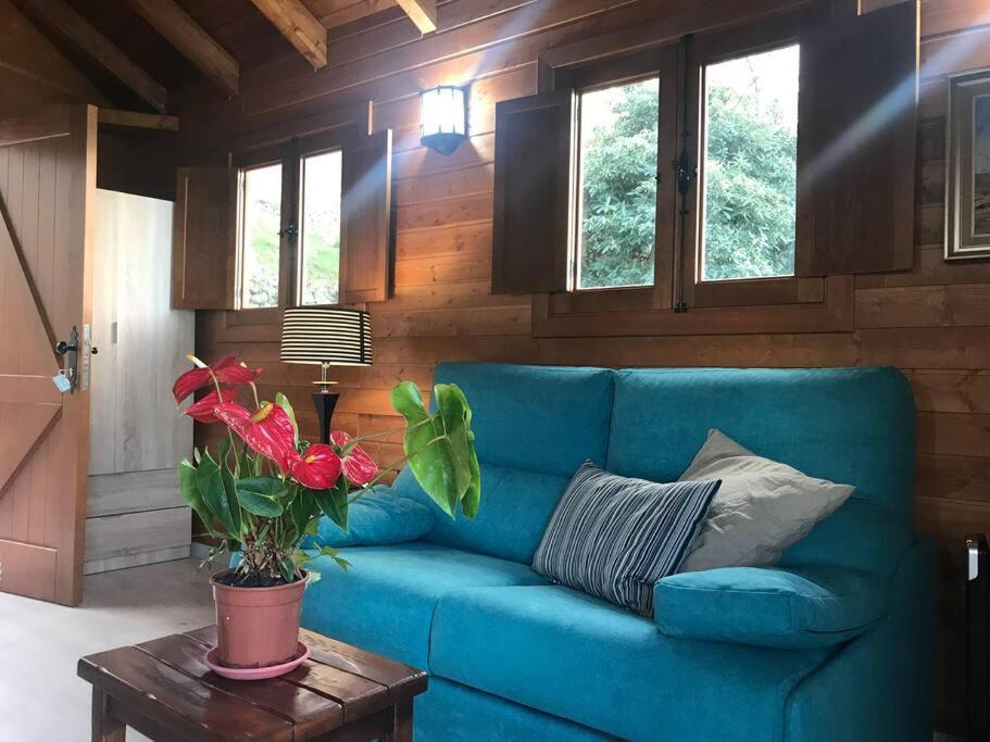 Cozy Mountain Chalet La Orotava Bagian luar foto